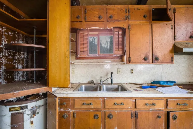 a view of a backyard with large trees