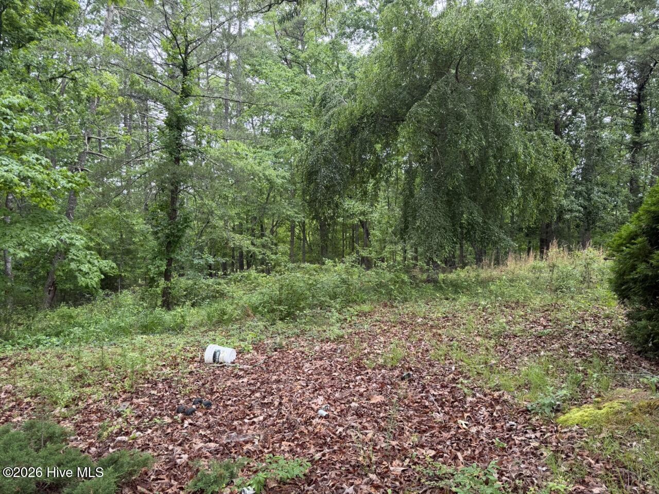 274 Snow Hill Ridge Road Murphy, NC 28906 - Photo 16 of 30