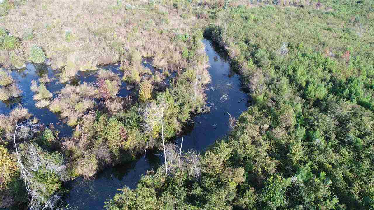 1096 Bryan Earnhardt Road, Unit XX Madison, FL 32340 - Photo 8 of 19 Gallery Image 8