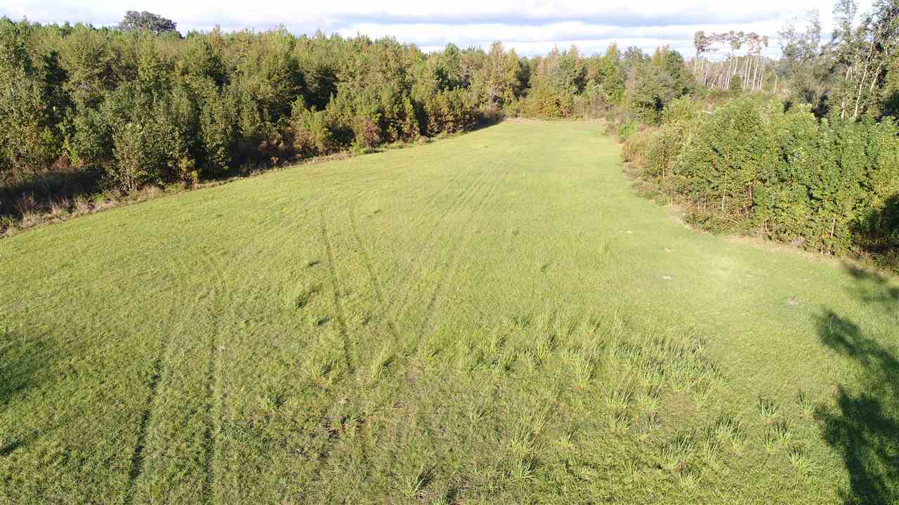 1096 Bryan Earnhardt Road, Unit XX Madison, FL 32340 - Photo 9 of 19 Gallery Image 9