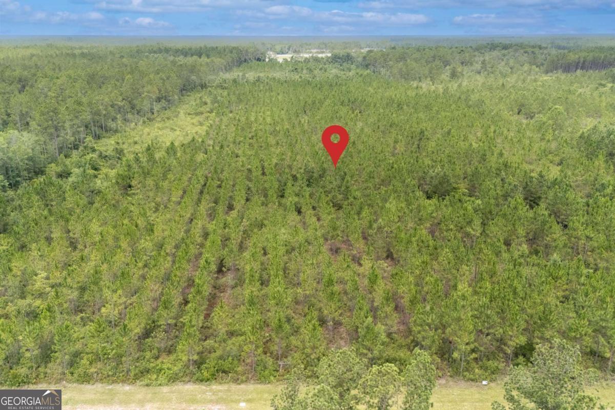 0 South Farms Edge Road Manor, GA 31550 - Photo 11 of 11 a view of a field with an trees in the background
