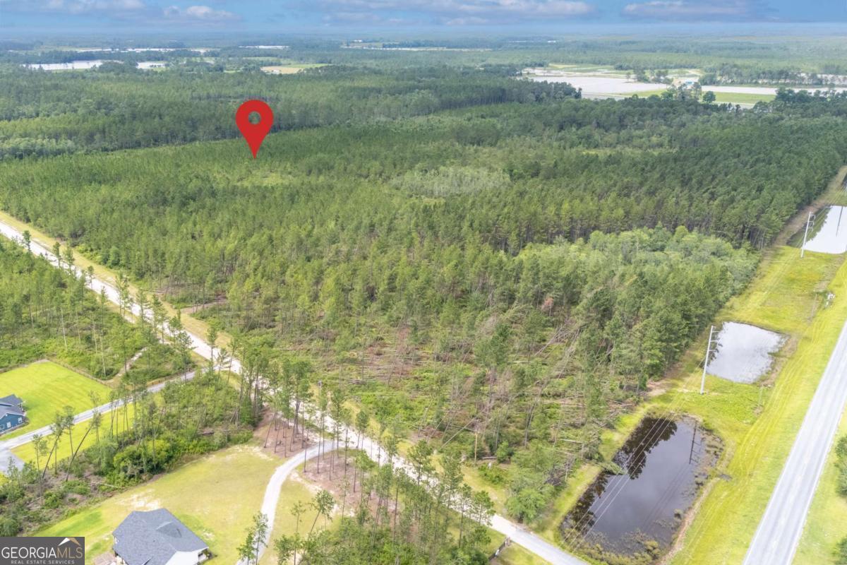 0 South Farms Edge Road Manor, GA 31550 - Photo 6 of 11 a view of an outdoor space and a yard