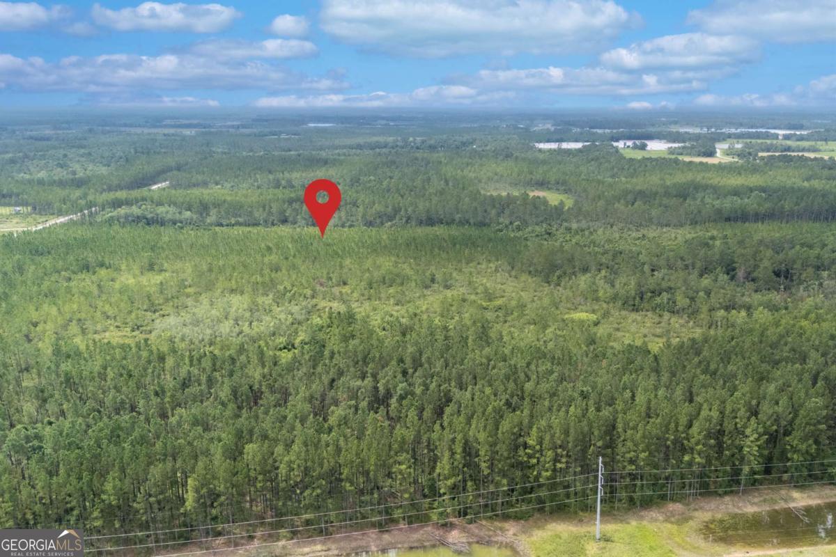 0 South Farms Edge Road Manor, GA 31550 - Photo 7 of 11 a view of a outdoor space
