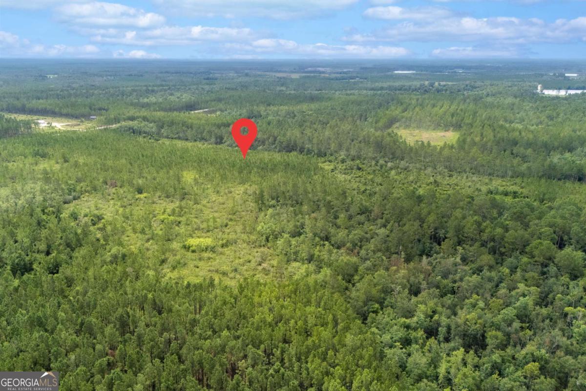 0 South Farms Edge Road Manor, GA 31550 - Photo 8 of 11 a view of a green field
