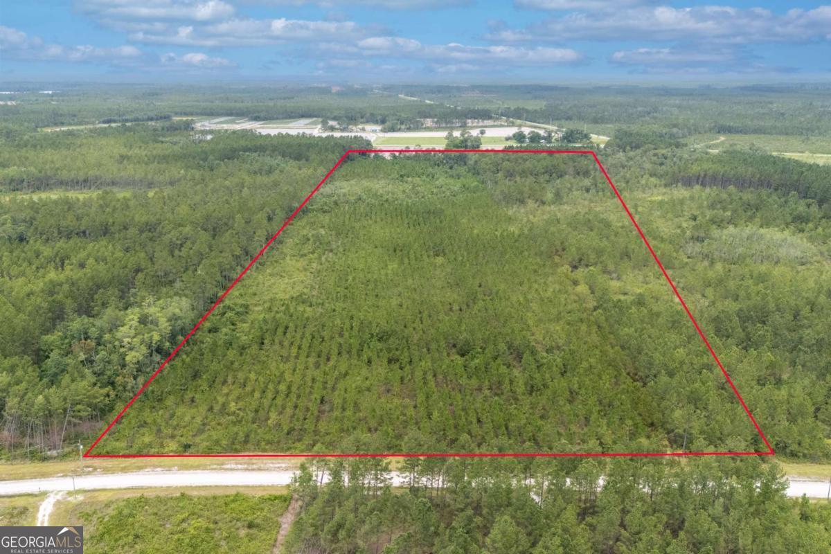 0 South Farms Edge Road Manor, GA 31550 - Photo 10 of 11 a view of a yard