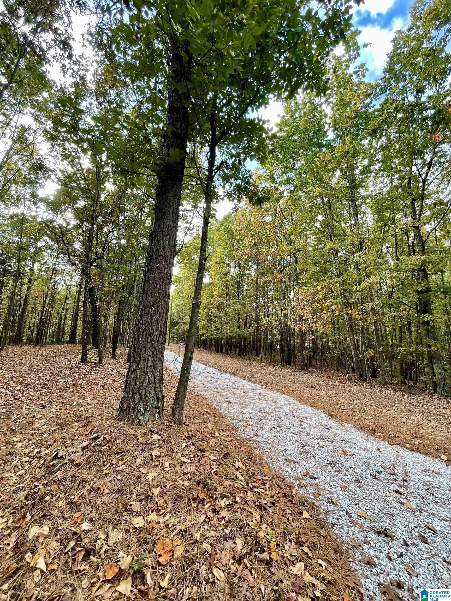 4348 County Road 25, Unit 1 Heflin, AL 36264 - Photo 10 of 22