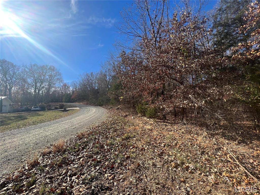 0 Rue Cheryl Bonne Terre, MO 63628 - Photo 3 of 26