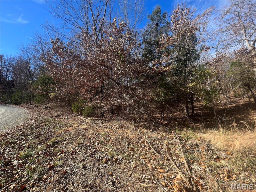 0 Rue Cheryl Bonne Terre, MO 63628 - Photo 4 of 26