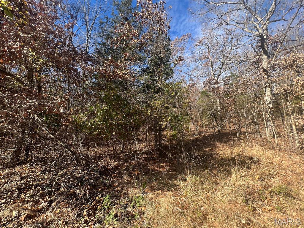 0 Rue Cheryl Bonne Terre, MO 63628 - Photo 5 of 26