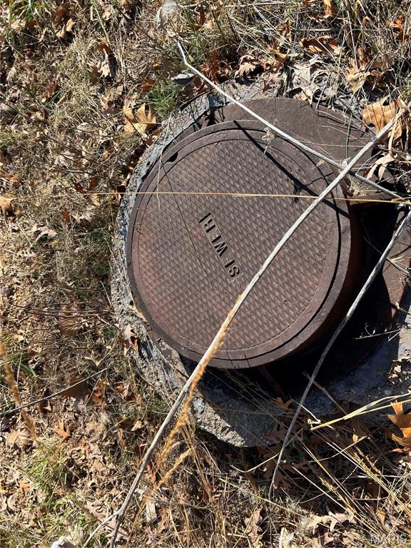 0 Rue Cheryl Bonne Terre, MO 63628 - Photo 6 of 26