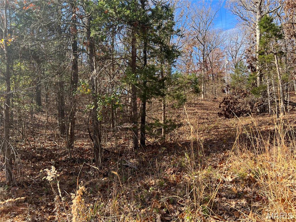 0 Rue Cheryl Bonne Terre, MO 63628 - Photo 7 of 26