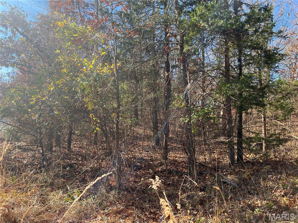 0 Rue Cheryl Bonne Terre, MO 63628 - Photo 8 of 26