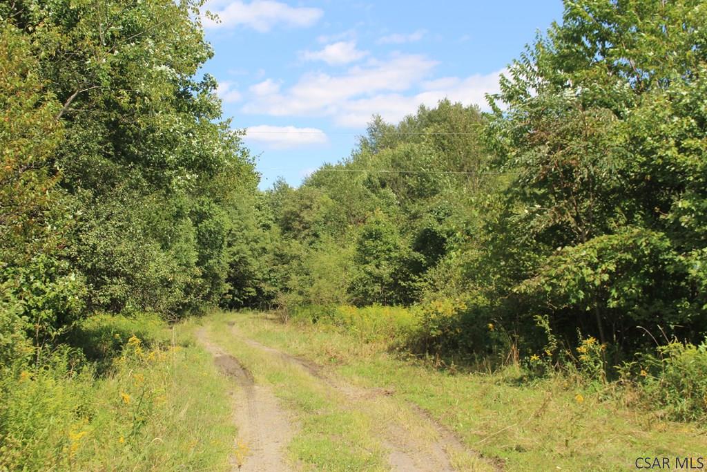 Lot # Wess Road, Unit 5 Mineral Point, PA 15942 - Photo 11 of 13