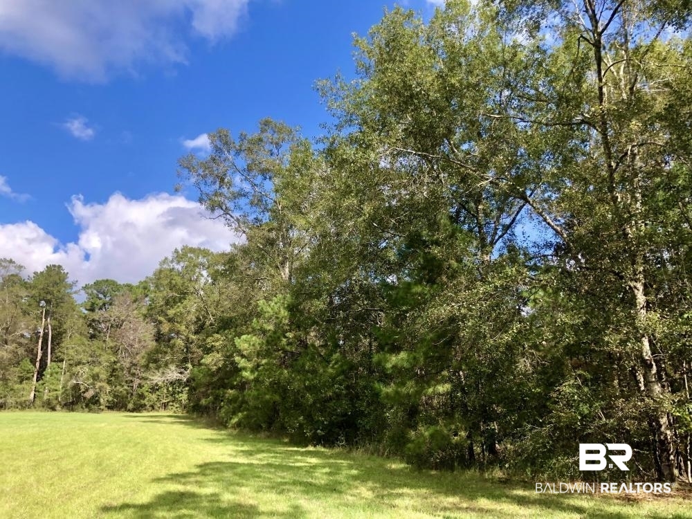 0 Country Road Axis, AL 36505 - Photo 32 of 42