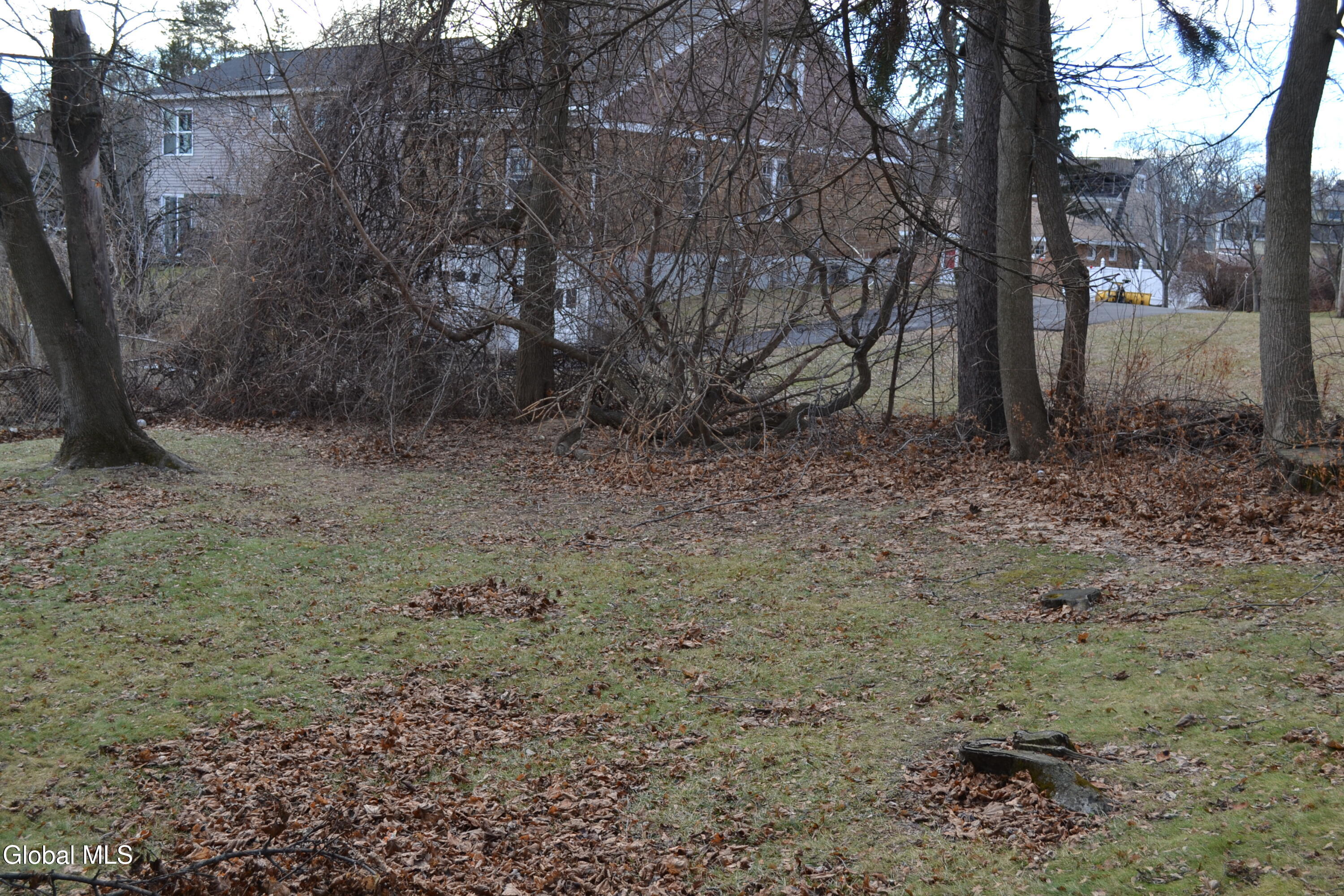 984 State Street Albany, NY 12203 - Photo 17 of 17 DSC_2333