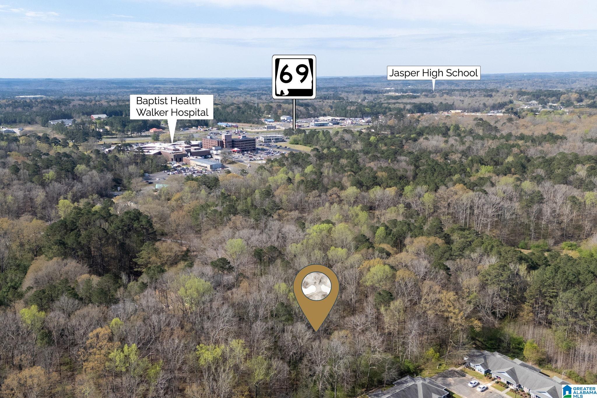 358 Blackwell Dairy Road Jasper, AL 35501 - Photo 7 of 22