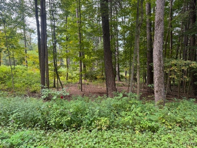 4042 Tuscarora Road Nelson, NY 13061 - Photo 6 of 33