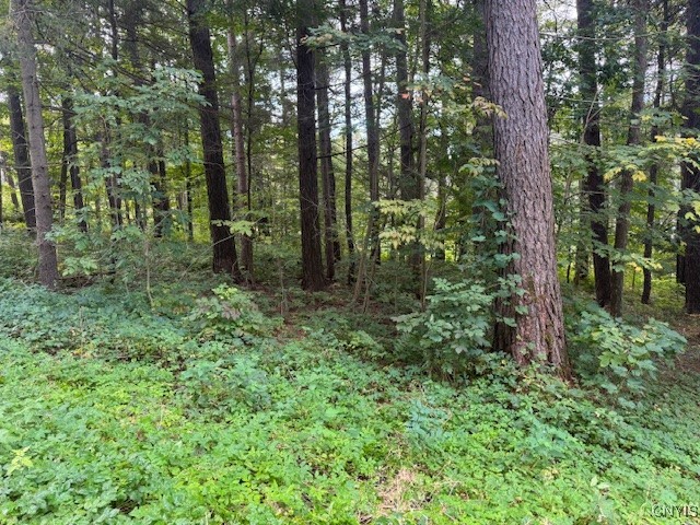 4042 Tuscarora Road Nelson, NY 13061 - Photo 7 of 33
