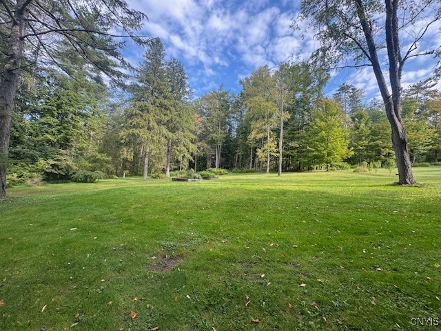 4042 Tuscarora Road Nelson, NY 13061 - Photo 8 of 33
