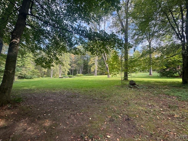 4042 Tuscarora Road Nelson, NY 13061 - Photo 9 of 33