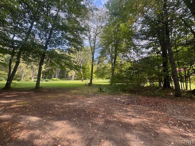 4042 Tuscarora Road Nelson, NY 13061 - Photo 10 of 33