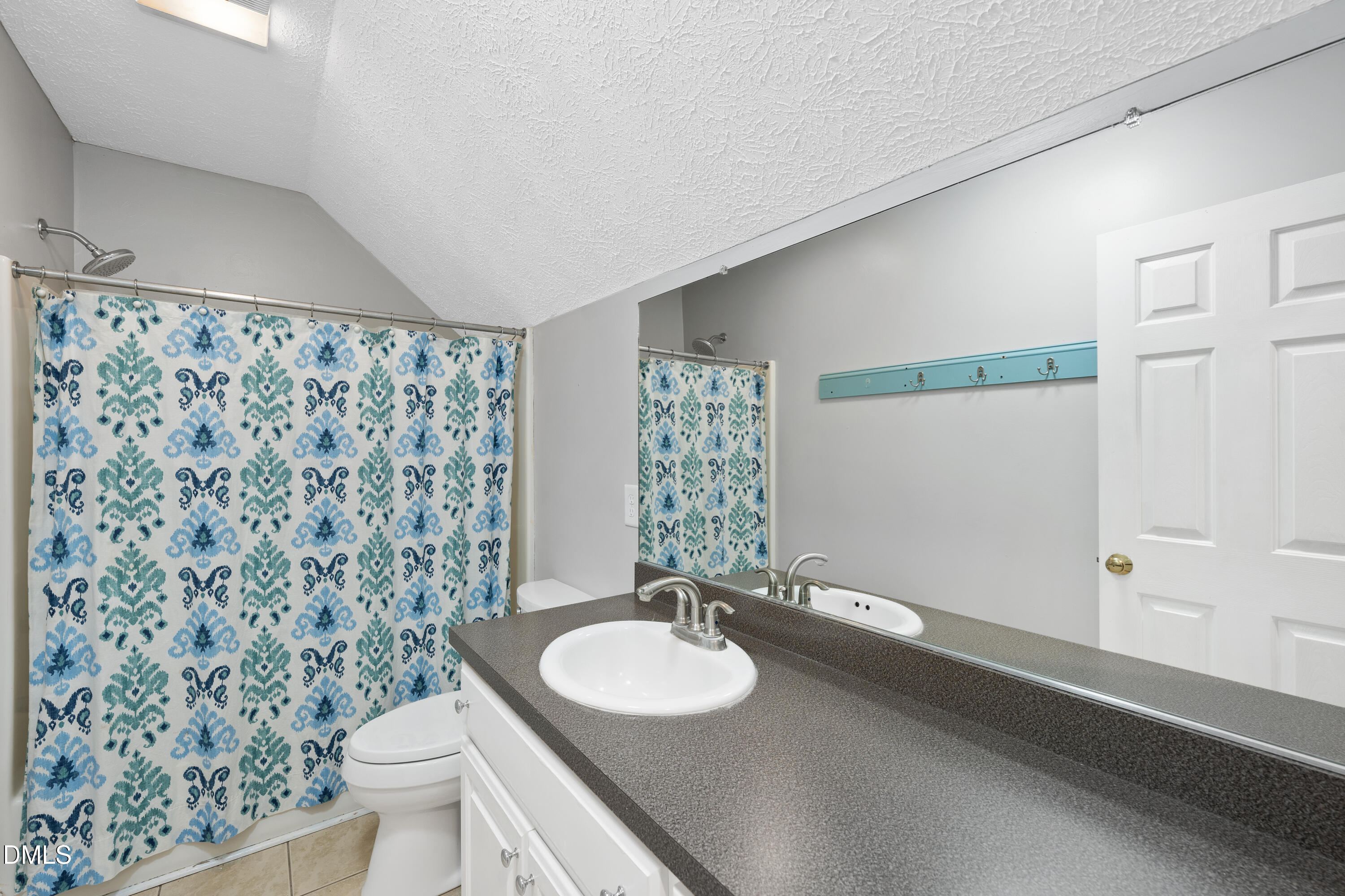 1121 Osmond Road Leasburg, NC 27291 - Photo 26 of 39 a bathroom with a sink a toilet and a mirror