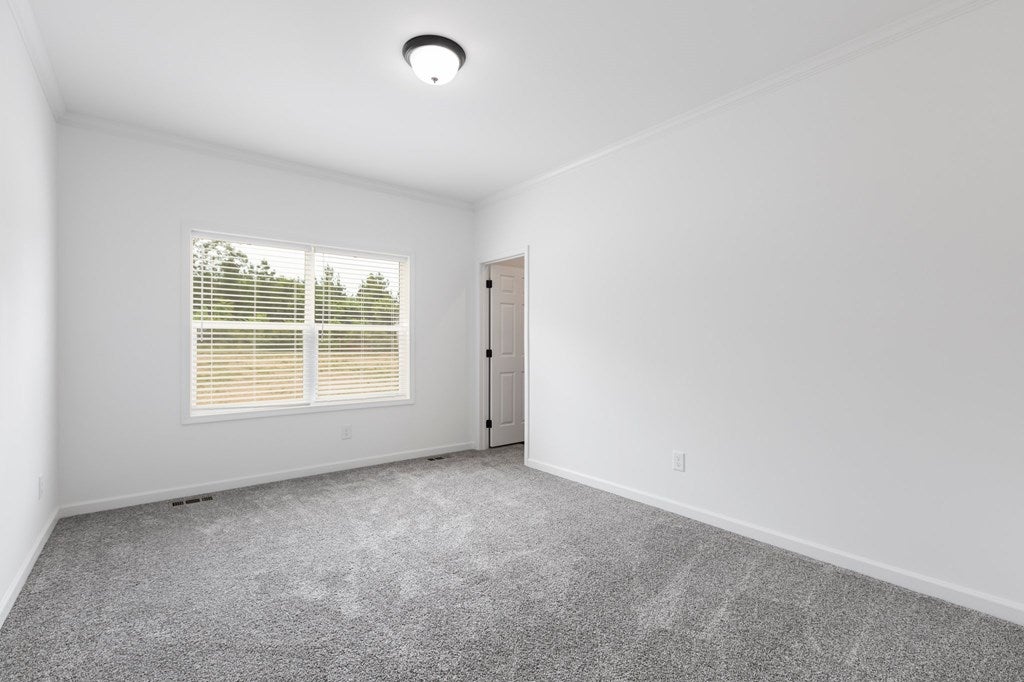 915 Levi Road Green Bay, VA 23942 - Photo 16 of 45 Gallery Image 16