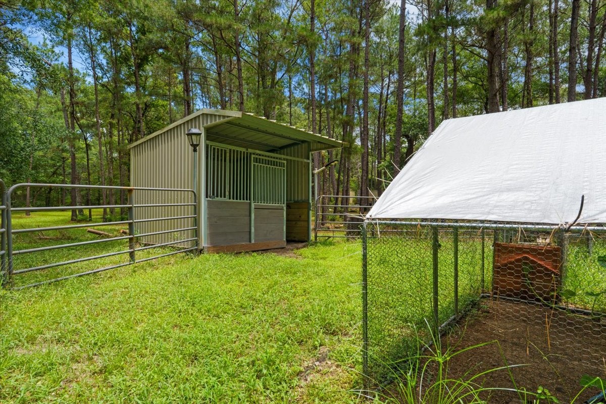 16375 Grand Flower Road Plantersville, TX 77363 - Photo 27 of 50 a view of a backyard