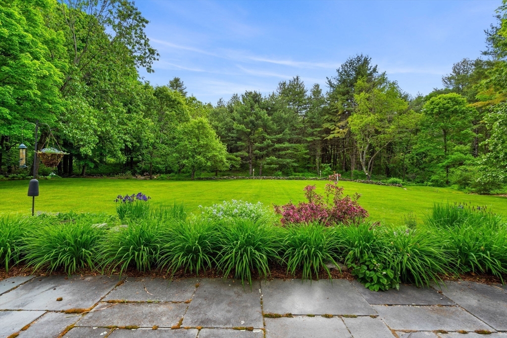 338 Pond Street Dunstable, MA 01827 - Photo 42 of 42 a view of a garden with plants