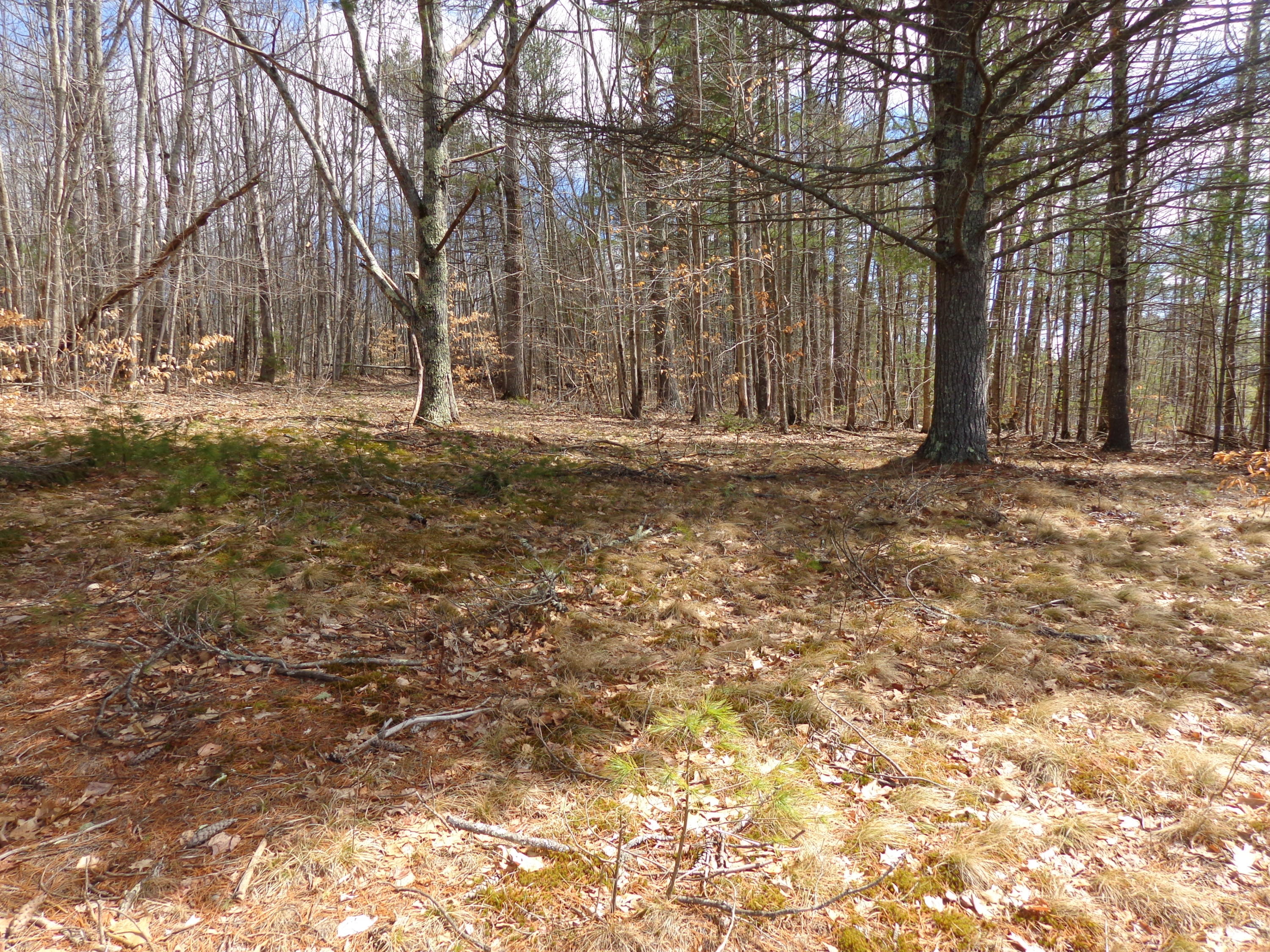0 North Clary Road Jefferson, ME 04348 - Photo 8 of 24 DSC00078