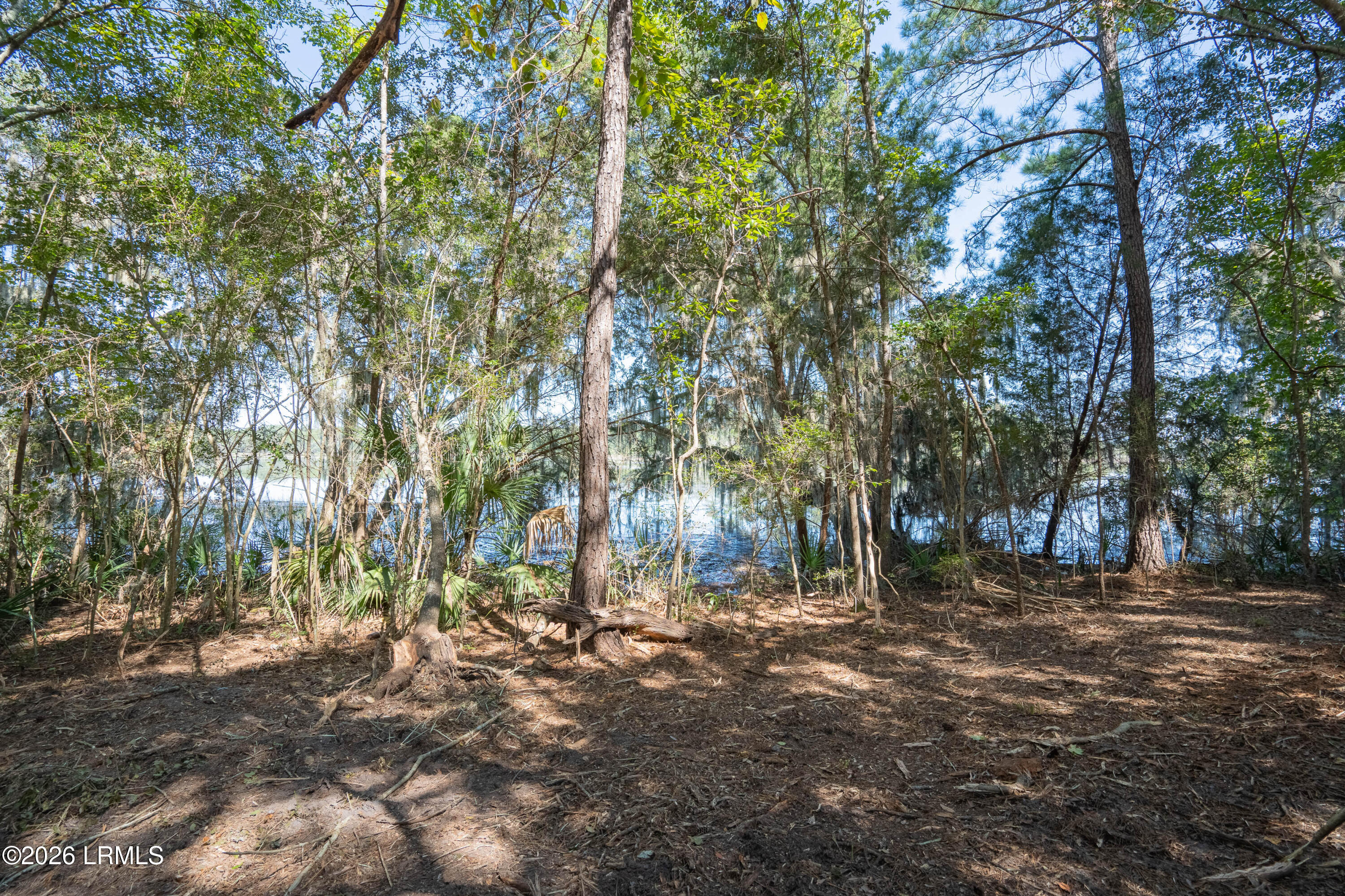 501 Paige Point Road Seabrook, SC 29940 - Photo 11 of 29 501 Paige Pt-37