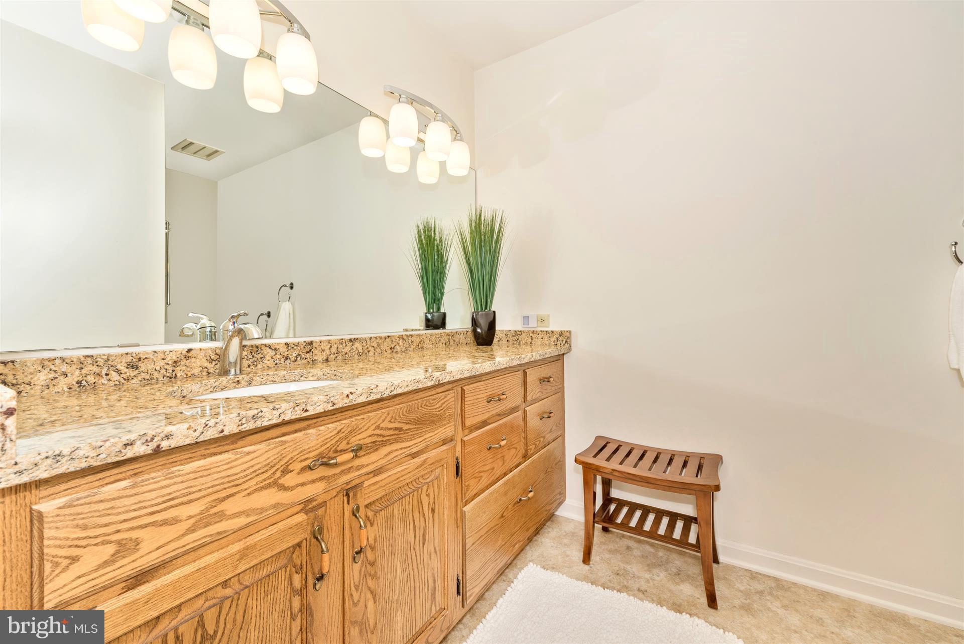 10823 Shanktown Road Big Pool, MD 21711 - Photo 23 of 30 a spacious bathroom with a sink and a mirror