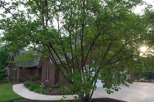 5103 West Hamilton Road South Fort Wayne, IN 46814 - Photo 11 of 30
