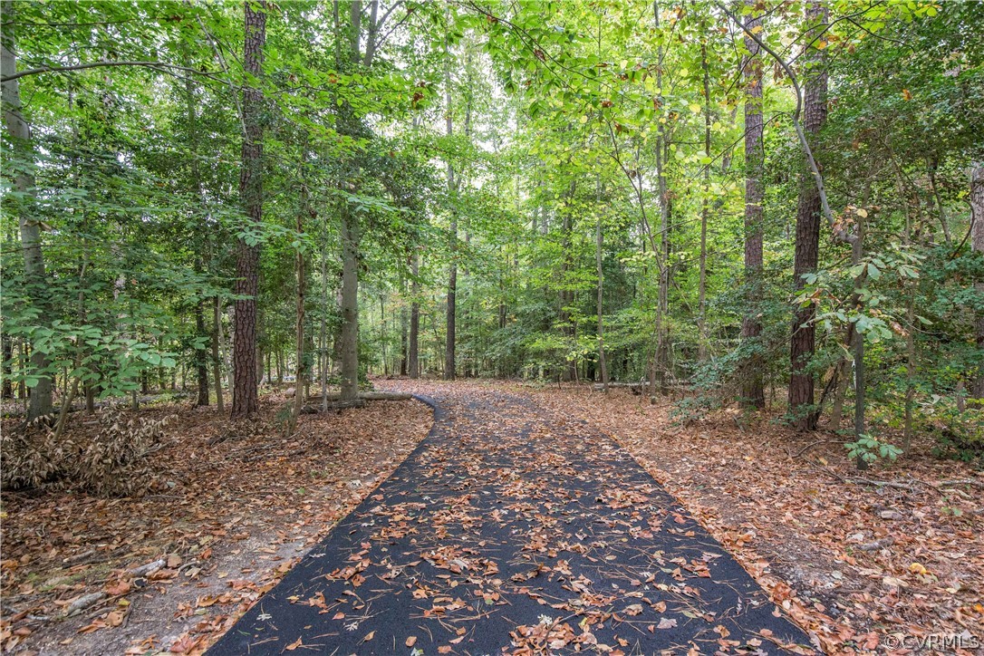 6400 Qualla Road Chesterfield, VA 23832 - Photo 34 of 36 a view of a forest with trees in the background