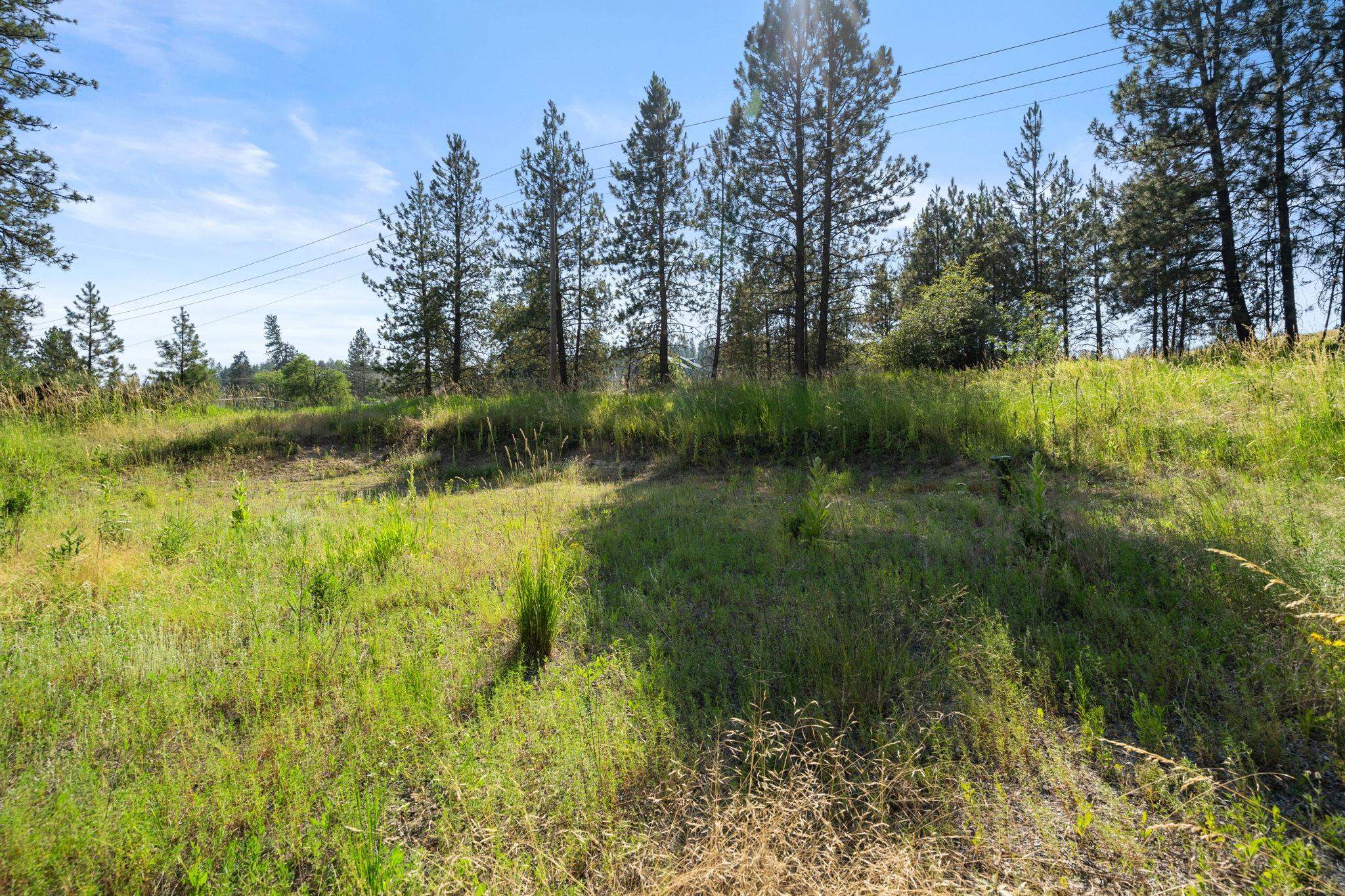 Xxx North Madison Road Mead, WA 99021 - Photo 22 of 25