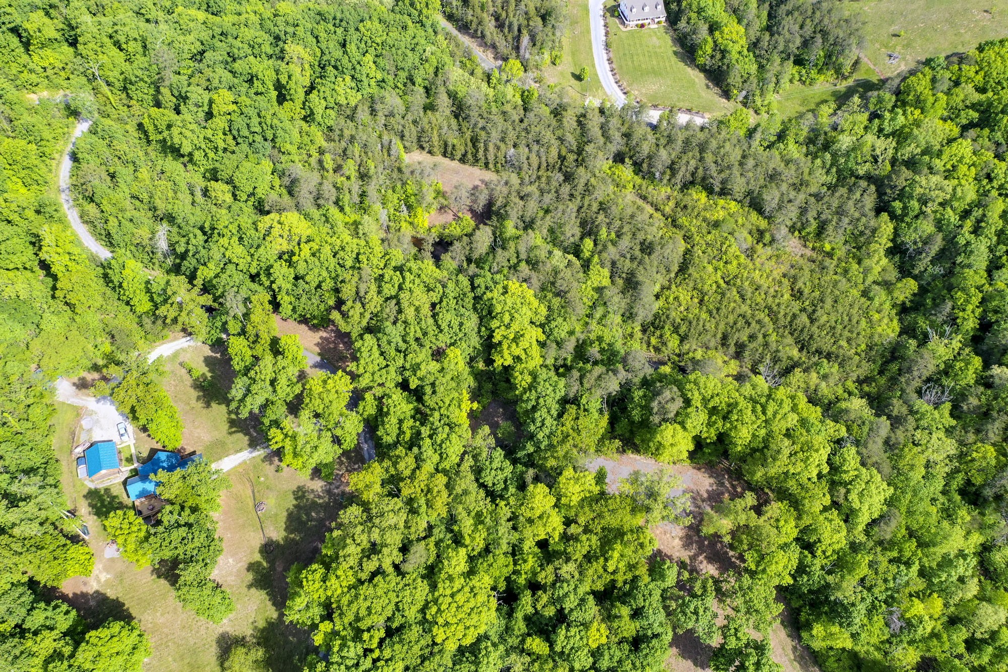 0 Sandy Ridge Road Dandridge, TN 37725 - Photo 15 of 27 a view of a lush green forest