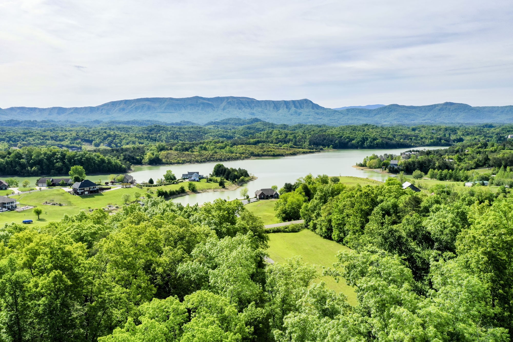 0 Sandy Ridge Road Dandridge, TN 37725 - Photo 23 of 27 a view of a lush green field with mountains in the background