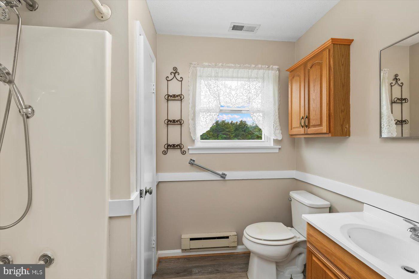 3528 Slate Mills Road Sperryville, VA 22740 - Photo 30 of 36 Master Bath