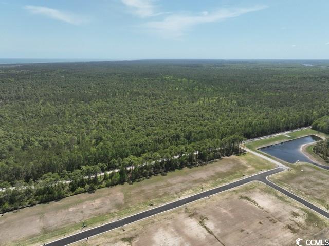185 Northbrook Drive Murrells Inlet, SC 29576 - Photo 4 of 30 Bird's eye view of a forest and a nearby body of water