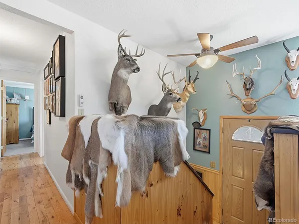 $525,000 | 399 Conifer Drive, Bailey, CO 80421