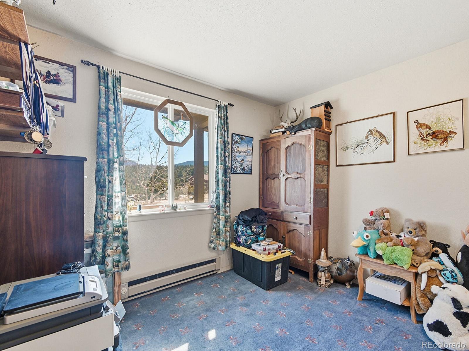 399 Conifer Drive Bailey, CO 80421 - Photo 24 of 42