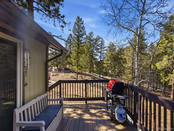 $525,000 | 399 Conifer Drive, Bailey, CO 80421