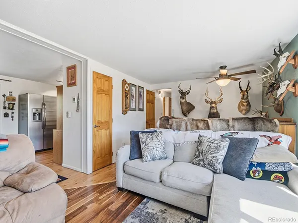 $525,000 | 399 Conifer Drive, Bailey, CO 80421