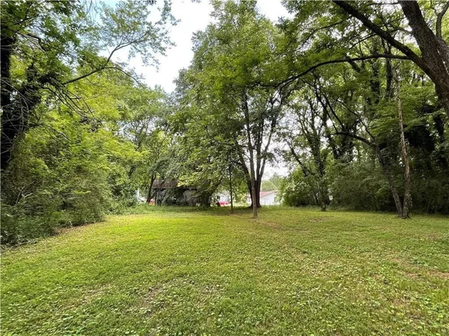 a view of a trees with a big yard
