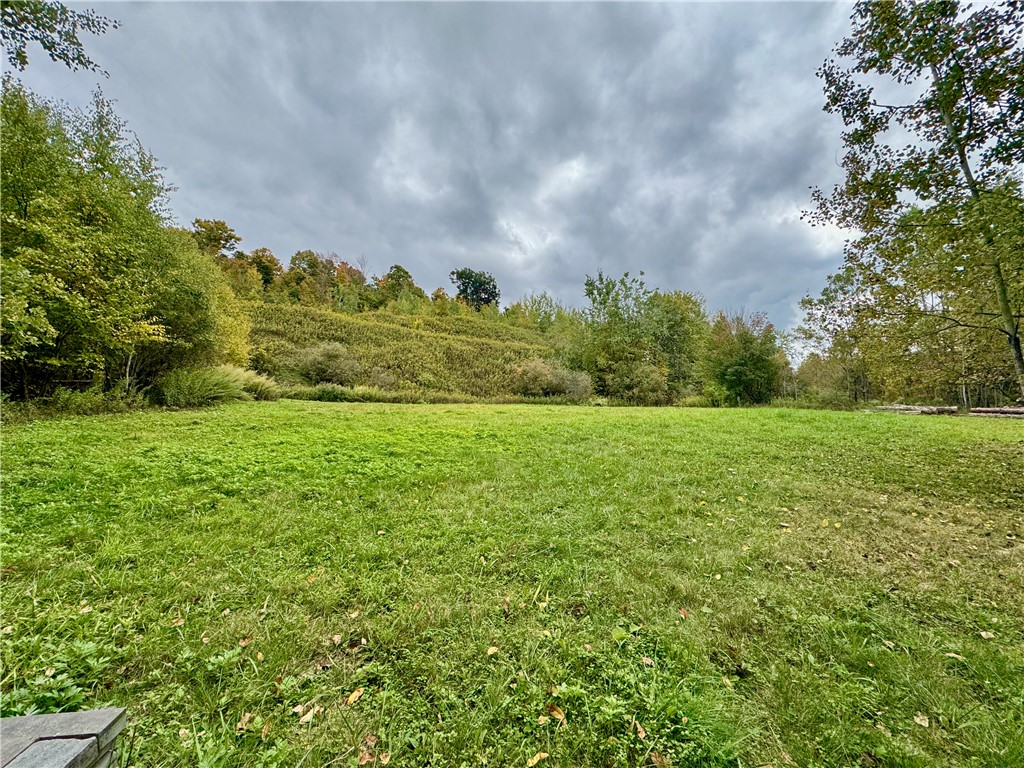 Gallop Hill Road Walton, NY 13856 - Photo 7 of 48 Gallery Image 7