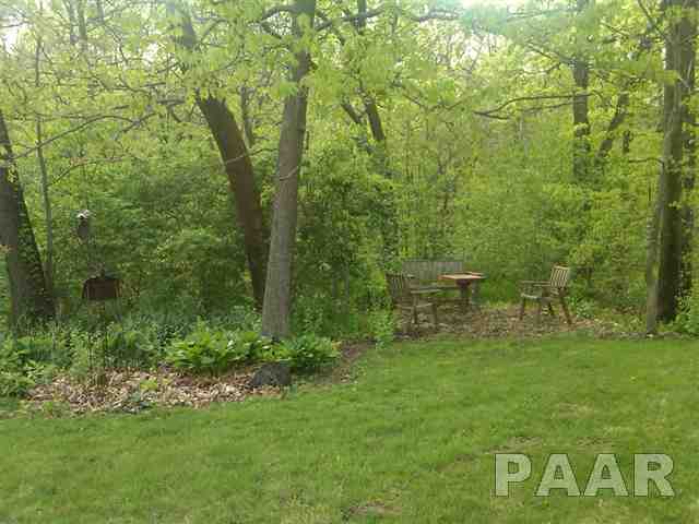 30906 Tyrrell Road Mackinaw, IL 61755 - Photo 13 of 15