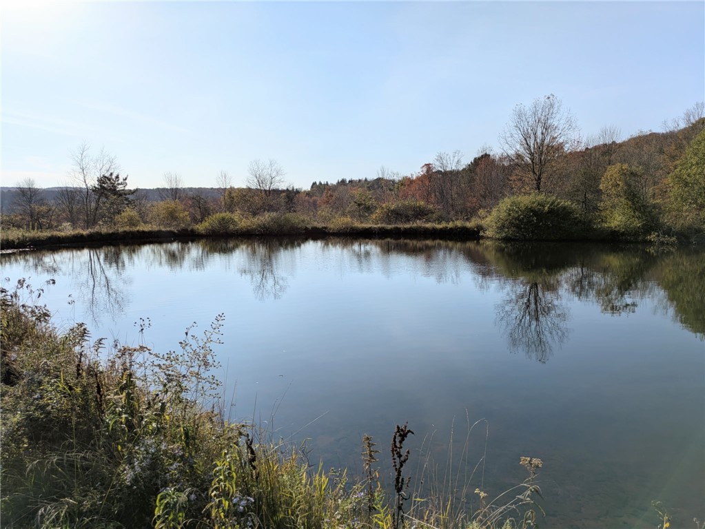 373 Dibble Road Harpersfield, NY 13788 - Photo 20 of 21