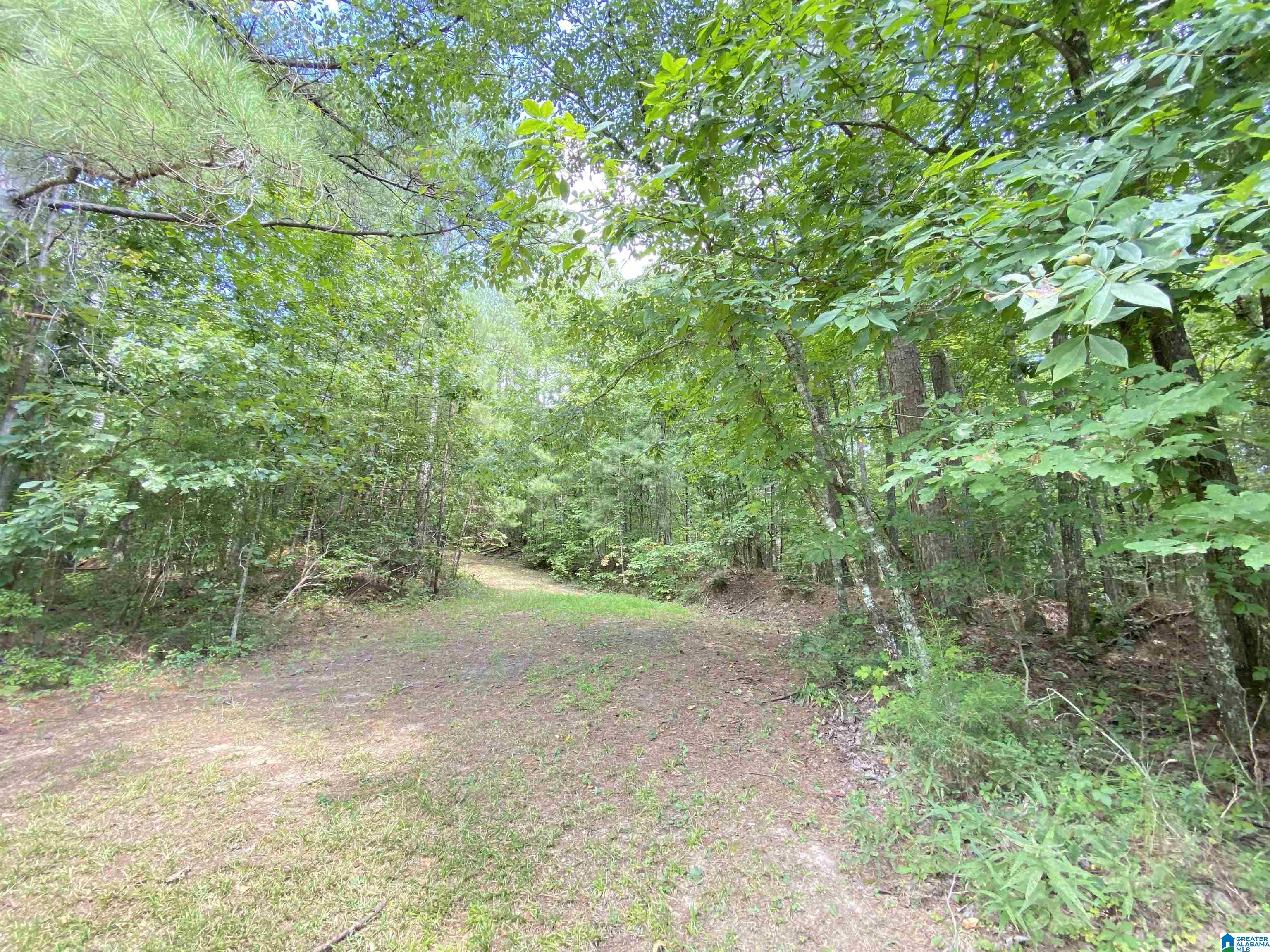 969 Blue Ridge Way, Unit 45 Odenville, AL 35120 - Photo 7 of 12