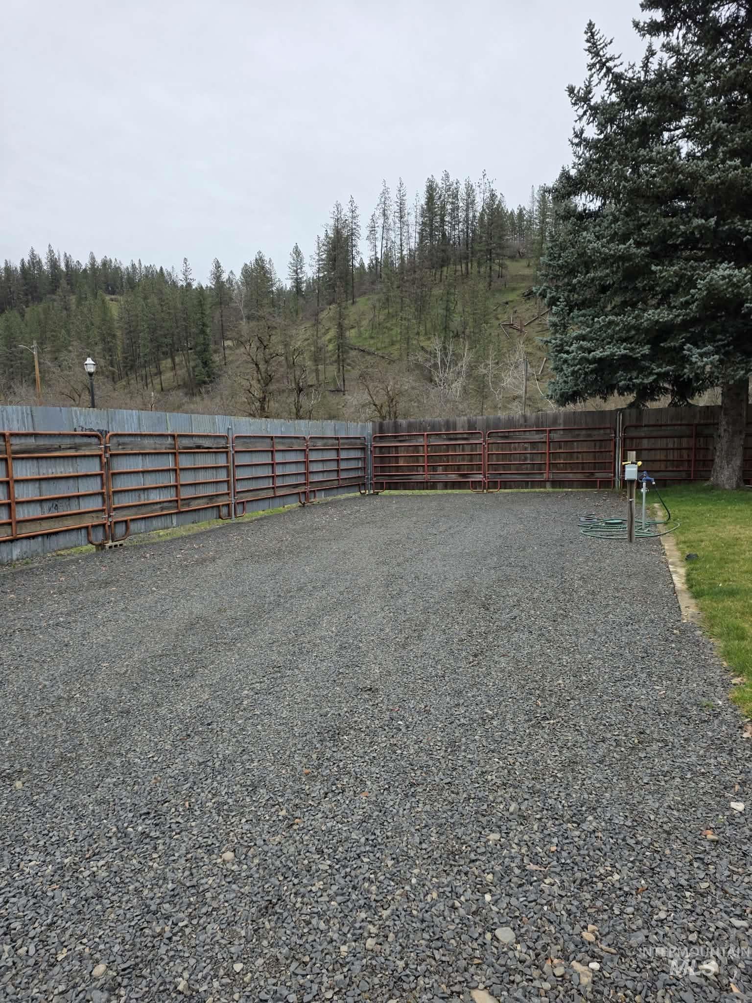 220 South Main Street Peck, ID 83545 - Photo 3 of 15 View of yard