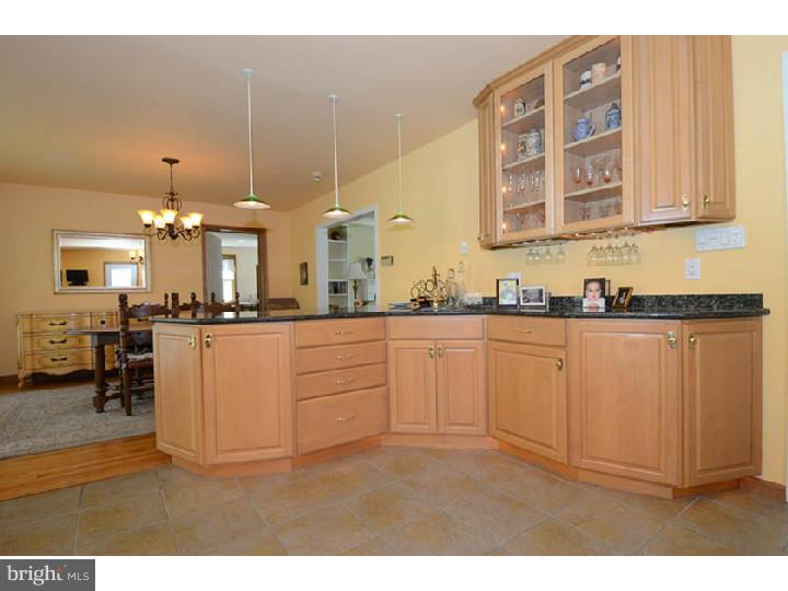 306 Clairemont Road Villanova, PA 19085 - Photo 8 of 25 Wet Bar